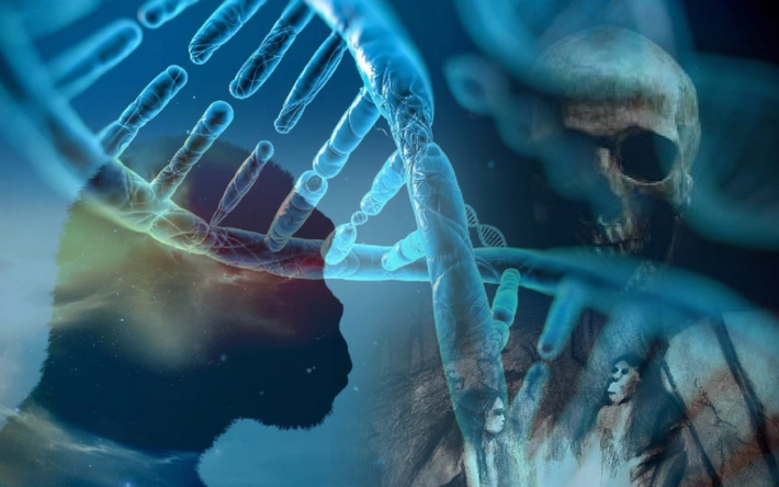1. Chiếm 19% DNA một số người Tây Phi: Nhóm nghiên cứu từ UCLA kiểm tra DNA của cộng đồng Tây Phi và phát hiện rằng, họ thừa hưởng từ 2-19% DNA từ một loài người ma chưa từng biết đến.