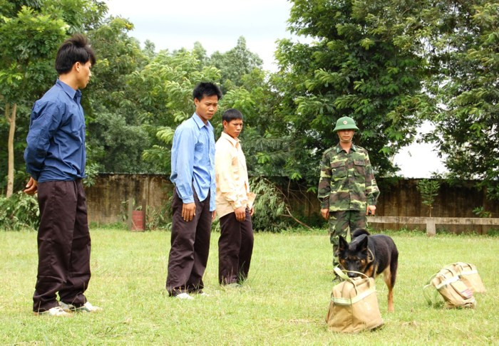 Chó nghiệp vụ hít mùi kiểm tra hành lý của các đối tượng. Ảnh: Phan Anh.