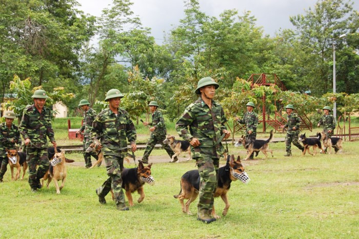 Đến Trường Trung cấp 24 Biên phòng trong ngày lạnh giá, chúng tôi được thực tế quan sát, tìm hiểu công tác đào tạo các huấn luyện viên sử dụng chó nghiệp vụ để thực hiện nhiệm vụ tuần tra biên giới; phát hiện, tấn công địch và các loại tội phạm; tìm kiếm, cứu nạn; bảo vệ các mục tiêu trọng yếu. Ảnh: Huấn luyện viên dắt chó nghiệp vụ ra thao trường huấn luyện. Ảnh: Phan Anh.