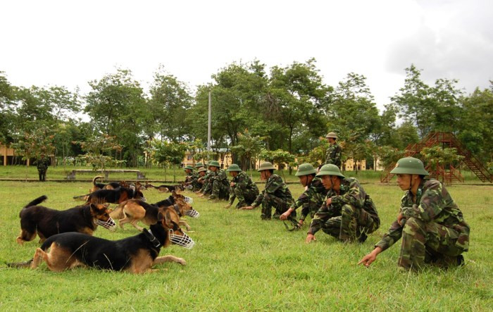 Để có được 'đội quân đặc biệt' này, công tác huấn luyện thường xuyên được coi trọng hàng đầu, các chú cho nghiệp vụ được huấn luyện thực tế, địa hình cụ thể và tham gia các vụ đánh án, tuần tra biên giới, biển đảo, bảo vệ mục tiêu, tìm kiếm vật chứng của các đối tượng ma túy. Khẩu lệnh của huấn luyện viên đối với từng chú chó huấn luyện. Ảnh: Phan Anh.