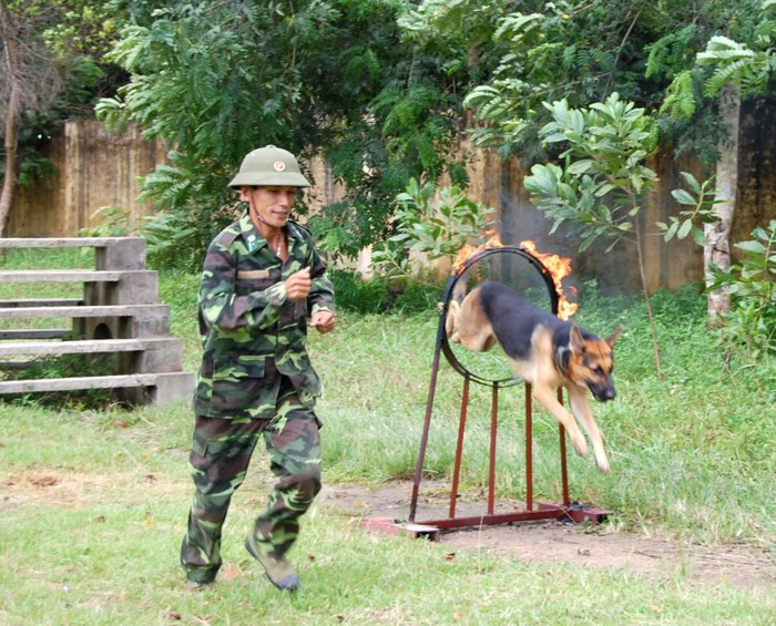 Nhảy qua vòng lửa. Ảnh: Phan Anh.