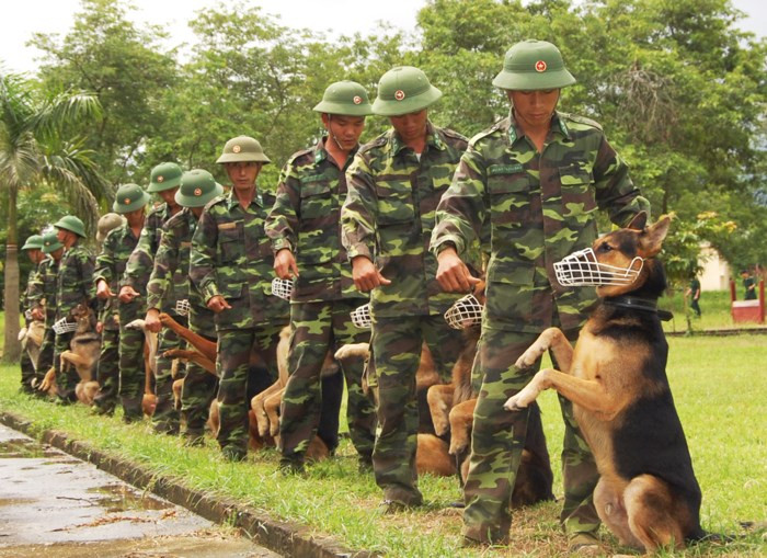 Trong những năm qua, chó nghiệp vụ đã tham gia tuần tra, kiểm soát bảo vệ an ninh trật tự, phòng chống các loại tội phạm khu vực biên giới, tham gia các vụ tìm kiếm cứu nạn. Màn chào hỏi của thầy và trò Trường Trung cấp 24 Biên phòng. Ảnh: Phan Anh.