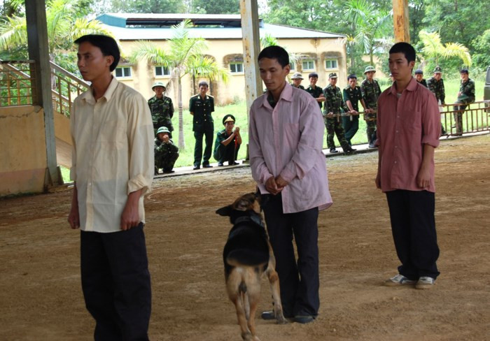 Chó nghiệp vụ quân đội hít mùi nhận biết các đối tượng điều tra. Ảnh: Phan Anh.