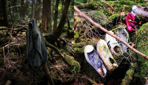 Aokigahara có nghĩa là Biển cây nhưng còn được tên gọi bằng một tên khác là là Jukai - “Khu rừng tự tử” bởi đây là địa điểm quyên sinh của nhiều người Nhật. Từ lâu đã bị đồn là bị quỷ ám, toàn bộ khu rừng luôn bị bao trùm trong bầu không khí rất tĩnh lặng, u ám và tối tăm.