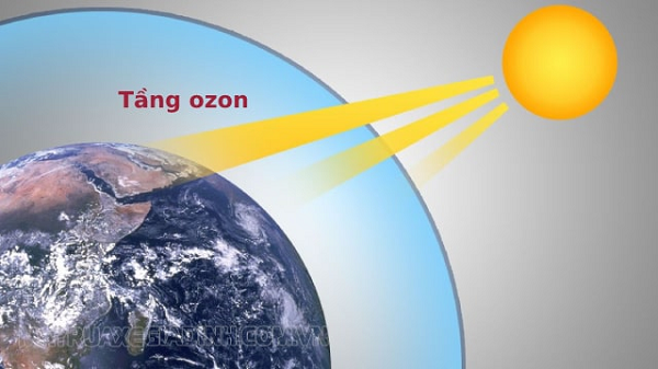Phát hiện mới này khiến phần lớn dân số toàn cầu sẽ bị đe dọa nghiêm trọng, vì các vùng nhiệt đới là nơi sinh sống của khoảng một nửa dân số thế giới (trong đó có Việt Nam).