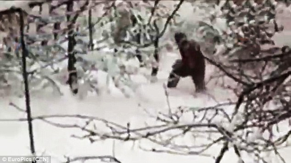 Theo miêu tả, Yeti tại khu vực núi Himalaya của cao nguyên Tây Tạng, Nepal và Bhutan. Sinh vật này mang hình dáng giống vượn, to lớn hơn người thường, có chiều cao tới 2 mét. Câu truyện về Yeti được truyền bá đến phương Tây vào thế kỷ 19. Nhiều đồn đoán được dấy lên rằng, Yeti chính là tổ tiên của loài người.