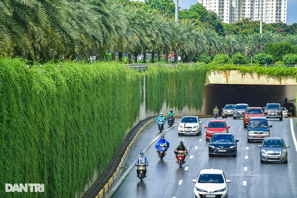 Đối với những người đi qua khu vực này thường xuyên, đây có thể coi là một điểm nhấn ấn tượng.