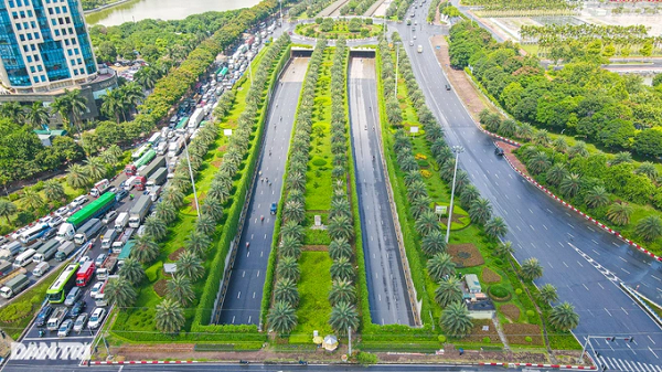 Hàng cây leo kèm theo những cây xanh được trồng ở khu vực hầm chui Trung Hòa nhìn từ trên cao như một "lá phổi xanh nhỏ" giữa những con đường nhựa.