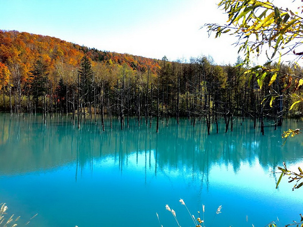 Nằm ở Đông Nam thị trấn Bieigawa, Hokkaido với màu xanh biếc biến đổi liên tục, hồ nước Xanh là một thắng cảnh hấp dẫn thu hút rất nhiều khách du lịch ở Nhật Bản. Nước trong hồ có màu sắc khác nhau khi nhìn ở các góc độ khác nhau.