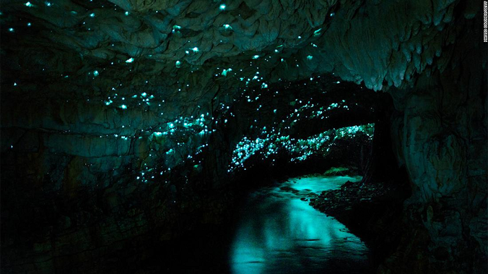 2. Hang đá vôi Waitomo, New Zealand: Bên trong hang động đá vôi này có những cảnh tượng vô cùng kỳ diệu được tạo ra bởi vô số ánh sáng bí ẩn. Ánh sáng này thực chất chính là những con đom đóm.