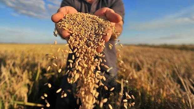 Cuộc xung đột Nga - Ukraine có tác động trực tiếp đến vấn đề an ninh lương thực toàn cầu. Nhưng các nền kinh tế thế giới cũng có thể gặp khó khăn trong nỗ lực vực dậy sau đại dịch Covid-19, từ đó tạo ra xu hướng suy thoái.