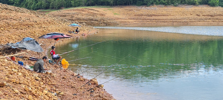 Dạo một vòng quanh hồ Phú Ninh, không khó để bắt gặp hàng chục cần thủ đang say sưa móc mồi, thả câu.