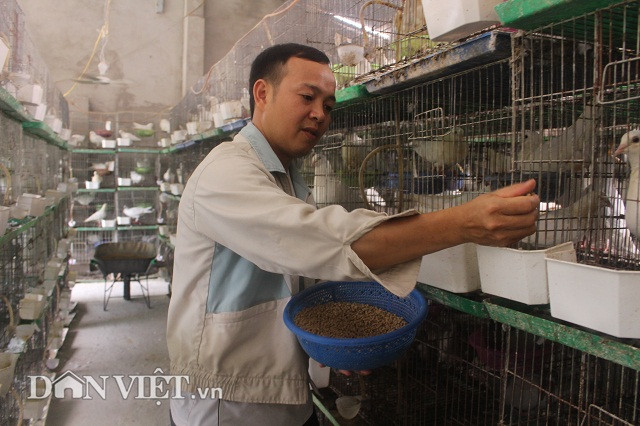 Anh Hùng bảo, trước khi đến với nghề nuôi câu, anh từng chăn nuôi lợn, gà nhưng đều không hiệu quả. Năm 2012, anh tình cờ xem trên ti vi thấy có mô hình nuôi chim bồ câu Pháp cho hiệu quả kinh tế cao, thế là quyết định đầu tư nuôi chim.