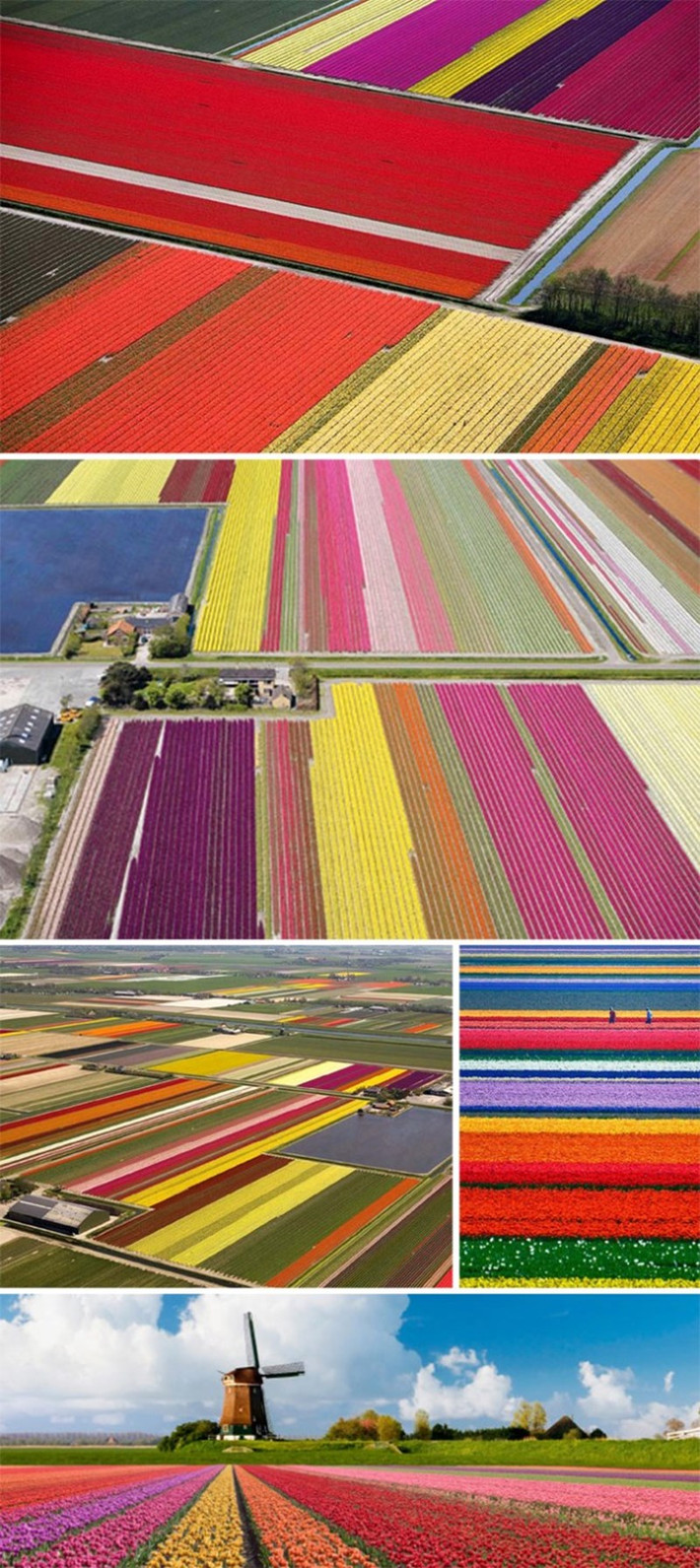 Ảnh George Steinmetz.