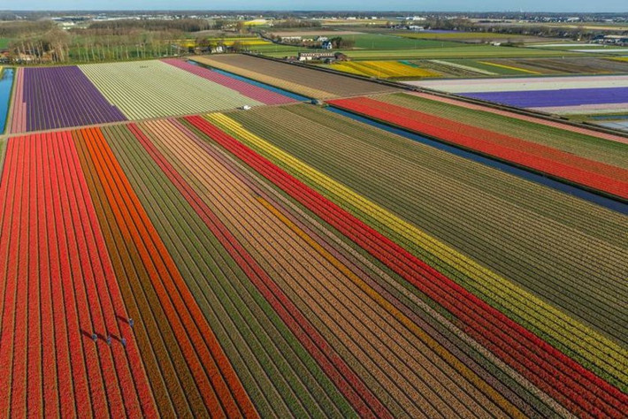 Ảnh George Steinmetz.
