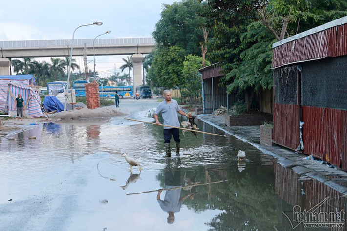 Một hộ dân khác cũng tăng gia sản xuất nhờ đường ngập.