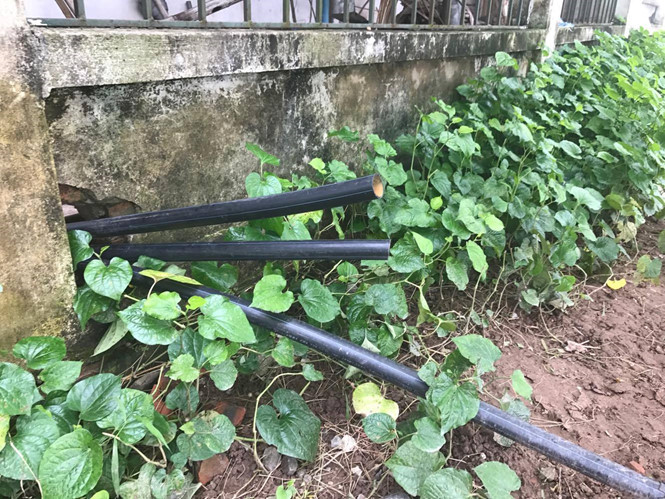 Ống nước bị chặt bỏ.