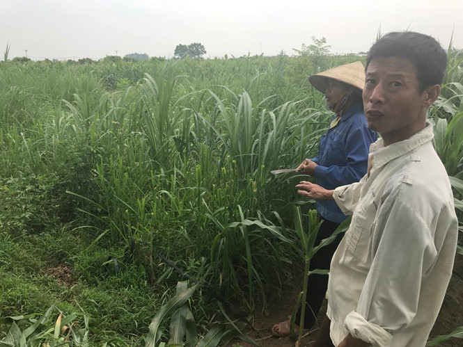 Nhiều nông dân cho biết, họ chưa được hưởng lợi ngày nào từ công trình cấp nước sạch tiền tỷ này.