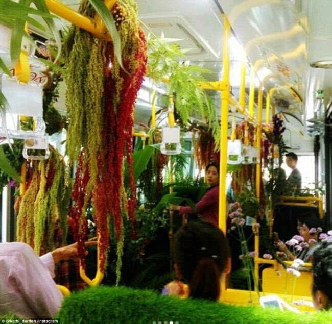 Rất đông du khách xếp hàng chờ để được trải nghiệm đi trên chiếc xe bus “rừng”.