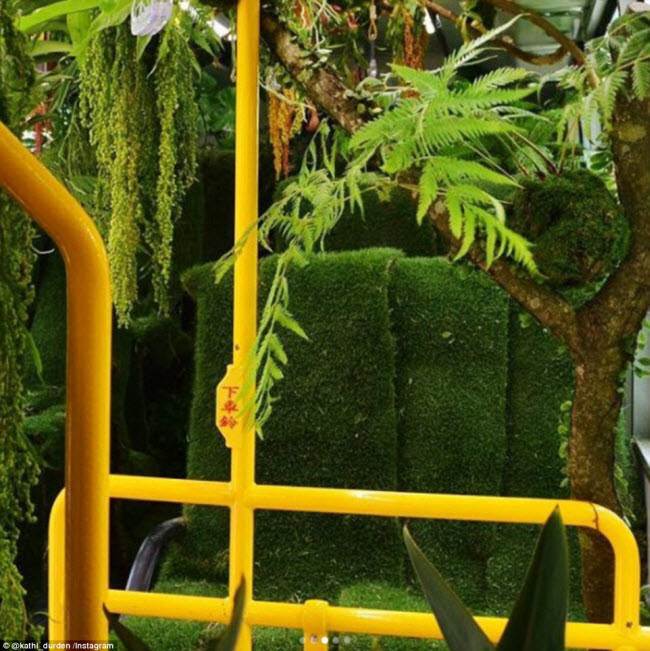 Những lớp thảm rêu xanh phủ kín ghế ngồi trên xe bus.