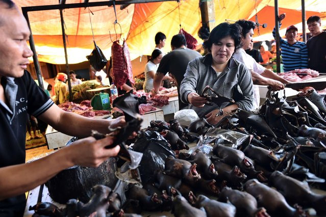 Dơi nướng (Indonesia): Dơi được coi là đặc sản và bày bán ở nhiều nhà hàng hay quán ăn vỉa hè. Dơi có nhiều kích cỡ và được chế biến thành các món khác nhau. Phần lớn các quán đều để nguyên con, tạo cảnh tượng khá đáng sợ cho những người không quen. Ảnh: Avaxnews.