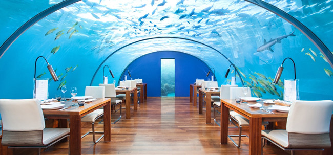 4. Nhà hàng Ithaa dưới đáy biển Maldives: Là một nơi không dành cho người mắc chứng sợ nước hay không gian hẹp, nhà hàng dưới nước đầu tiên trên thế giới này nằm sâu 5 mét dưới đáy biển đảo Conrad Maldives Rangali.