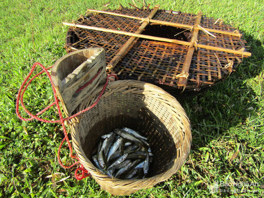 Sản phẩm sau một buổi bẫy cá. Ảnh: Bé Vinh