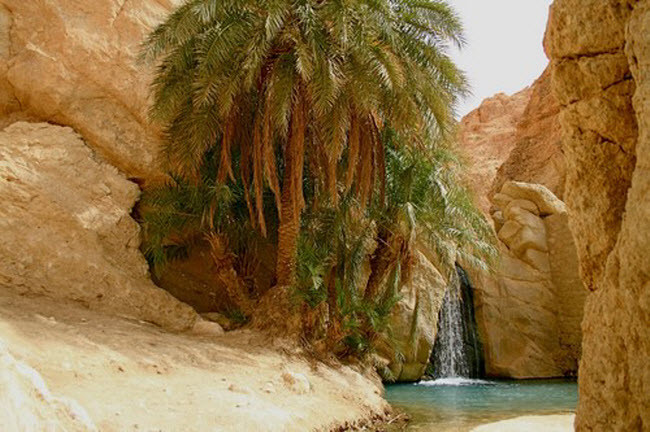 4. Chebika, Tunisia Nằm dưới chân dãy núi Djebel el Negueb ở Tunisia, ốc đảo Chebika thường được ví như “lâu đài Mặt trời”. Trong quá khứ, các chiến binh La Mã đã sử dụng địa điểm này như một tiền đồn ở châu Phi và ngày nay trở nó trở thành điểm du lịch hấp dẫn. Bộ phim Chiến tranh giữa các vì sao cũng từng lấy nơi này làm bối cảnh.