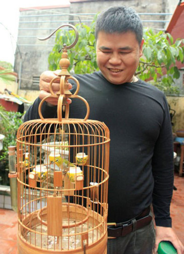 Nhiều người đam mê loài chim vành khuyên đã tìm đến nhà anh để đề nghị mua với giá hàng chục triệu nhưng anh từ chối.(Ảnh: Việt Nam Net)