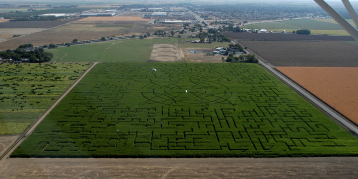 Mê cung Cool Patch Pumpkins (Mỹ): Mê cung Cool Patch Pumpkins ở Dixon, California được ghi vào sách kỷ lục Guinness nhiều lần về kích thước. Bắt đầu từ một mê cung bằng cây ngô 6 ha trong năm 2003, đến năm 2011, diện tích của nó đã tăng lên đến 18,2 ha và hiện tại đã là 21,5 ha. Khởi đầu là một phương thức tiếp thị bí ngô, nhưng dần dần nơi này trở thành điểm thu hút khách du lịch. Ảnh: Huffington Post.