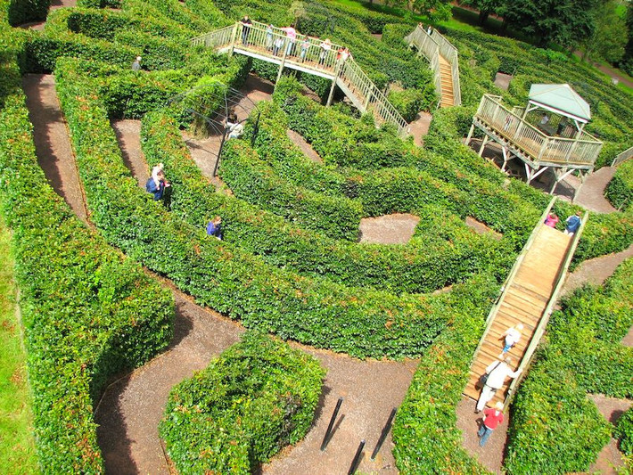 Mê cung Escot Gardend (Devon, Anh): Escot Gardens Maze được Adrian Fisher, người đã tạo ra hơn 600 mê cung trên khắp thế giới, thiết kế vào năm 2004. Mê cung này bao gồm hơn 4.000 cây dẻ gai, cầu và rất nhiều ngã rẽ. Nằm bên cạnh là một khu bảo tồn thiên nhiên nên nếu bị lạc, du khách cũng có thể bắt gặp một số loài động vật như lợn rừng và hải ly. Ảnh: Oatinguk.