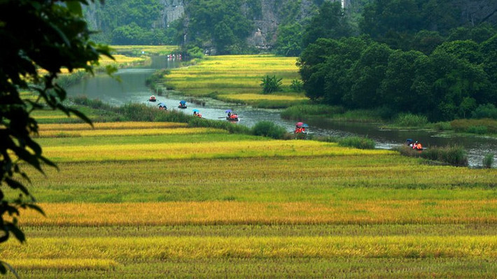Những con thuyền đưa du khách đi tham quan từ sáng sớm.