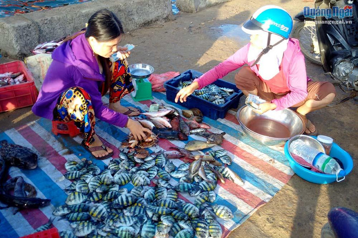 Chợ cá sáng tại cầu cảng Lý Sơn chỉ diễn ra trong khoảng 2 giờ đồng hồ.