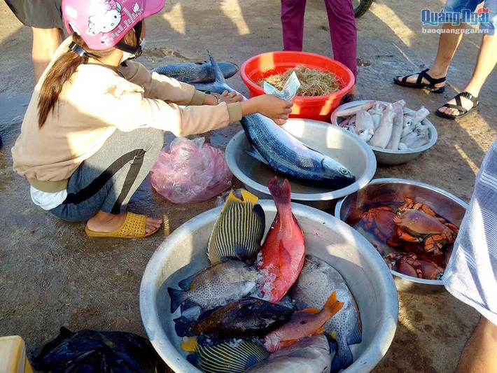 Rất nhiều loại hải sản ngon, lạ mà chỉ ở trên đảo Lý Sơn mới có.