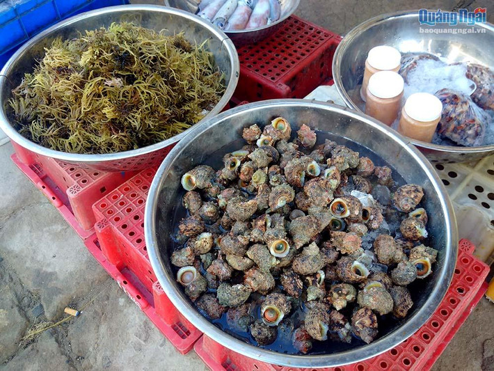 Ốc cừ, rong biển cũng được bày bán tại chợ .