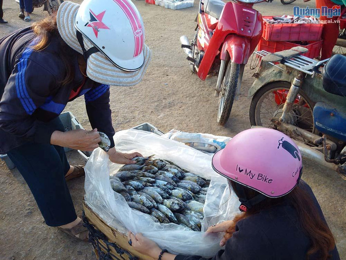 Cá được đóng thùng để chuyển vào đất liền.
