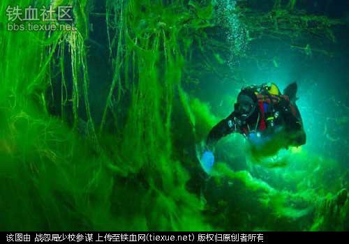 Thợ lặn trong các huyệt động Do áp lực nước không ổn định, không gian và bề mặt nước chật hẹp, nghề này nguy hiểm hơn nghề thợ lặn biển sâu gấp nhiều lần. Mức lương của họ là 58.600 USD mỗi năm.