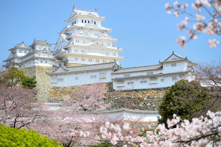 Lâu đài Himeji, Hyogo: Lâu đài Himeji nằm ở trung tâm thành phố Himeji, cách thủ đô Tokyo 650 km về phía tây. Đây là ví dụ tiêu biểu của kiến trúc lâu đài Nhật Bản truyền thống. Lâu đài cổ của Nhật này được UNESCO công nhận là di sản thế giới vào năm 1993 và là di tích lịch sử đặc biệt của Nhật. Himeji được chiến binh Samurai Akamatsu Norimura xây dựng năm 1333. Tường của lâu đài được làm bằng gỗ và phủ một lớp thạch cao trắng để chống cháy. Do đó, Himeji còn có tên gọi là “Lâu đài Hạc Trắng”. Ảnh: Jpninfo.
