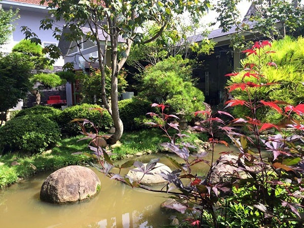 Còn gì thú vị bằng được ngồi nhâm nhi tách cà phê dịu ngọt dưới những vòm xanh bát ngát, ngắm những tia nắng lung linh nhảy nhót hay những hàng bon-sai nghệ thuật, cắn vị bánh cookie trà xanh giòn tan trong miệng để vứt bỏ những ồn ào ngoài kia, tận hưởng cuộc sống bình yên, thanh bình...