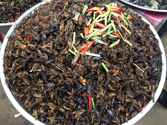 Ở Campuchia, chợ con trùng này còn được gọi là chợ Skun.
