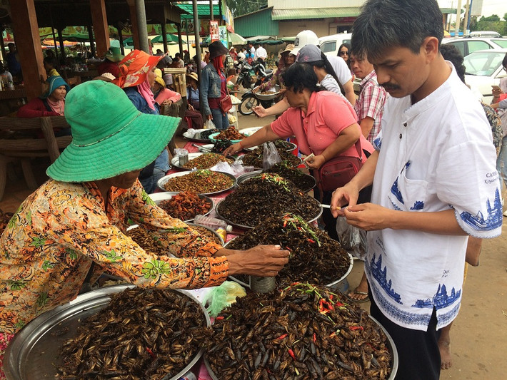Chợ côn trùng nằm tại thị trấn Skun thuộc tỉnh Kamphong Cham, cách thủ đô Phnom Penh khoảng 70 km. Đây cũng chính là một trong những địa điểm dừng chân của tuyến đường từ Phnom Penh đi Siem Riep.