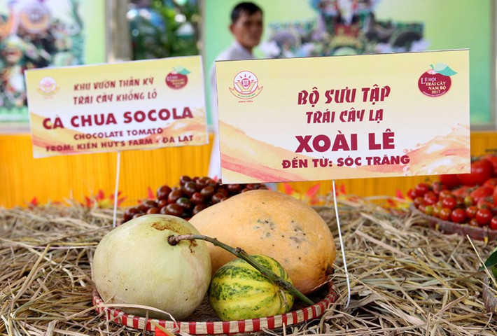 Bộ sưu tập Xoài Lê Sóc Trăng.