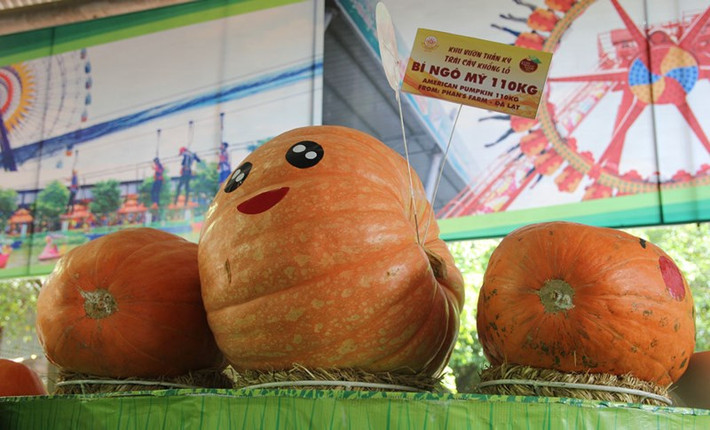 Bí ngô Mỹ 110kg.