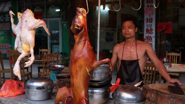 Theo những nhà hoạt động bảo vệ động vật, giới chức trách và những người bán thịt chó đã đạt được thỏa thuận chỉ bày bán 2 con chó trên một gian hàng. Tuy nhiên, phần lớn các quầy bán thịt chó ở chợ vẫn bày hàng la liệt.