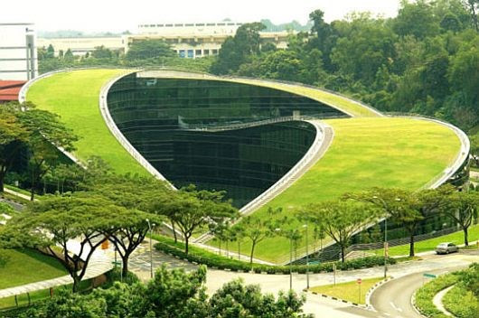 Mái nhà như trong công viên có đường nối với thảm cỏ uốn lượn.