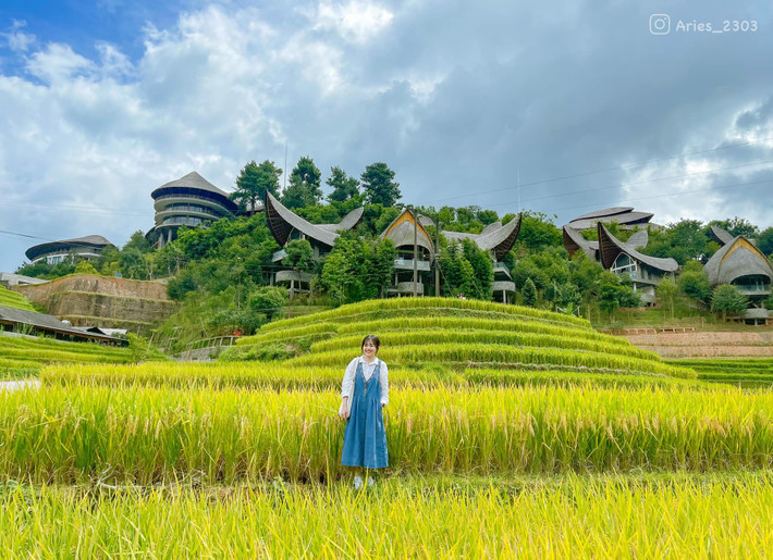 Tú Lệ: Thung lũng nằm dưới những dãy núi cao chót vót của Yên Bái. Điểm check in này được biết đến với cảnh sắc thiên nhiên thơ mộng và thứ đặc sản nổi tiếng có tên nếp Tú Lệ. Vào mùa lúa xanh hay mùa lúa vàng, Tú Lệ trải lên một tấm thảm màu sắc đung đưa theo gió, được ví von như cô gái miền sơn cước. Ảnh: Hiền Mai