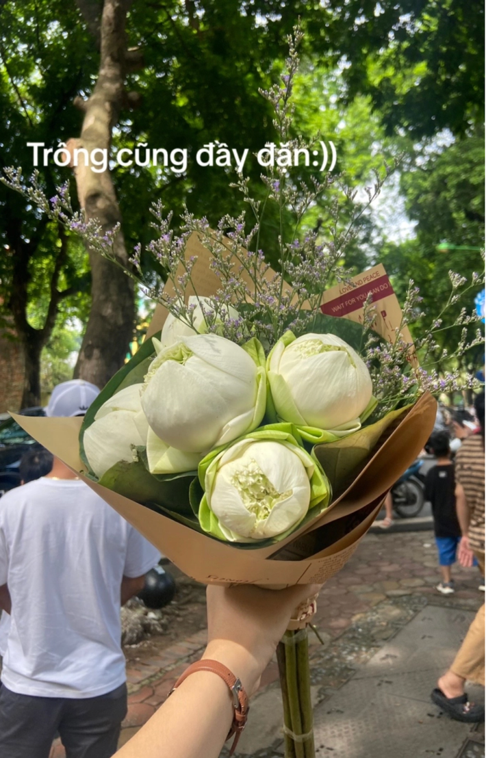 Theo chủ tài khoản, cô mua bó hoa sen trên đường Phan Đình Phùng để đu trend chụp ảnh chào Thu Hà Nội như chúng bạn. Ban đầu, bó hoa sen cô mua rất đẹp, nhưng lúc mang về nhà mở ra cắm vào lọ thì cô gái mới biết hoa bị làm giả.