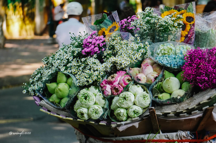 Sau chuyện Vanhlee, chị em bảo nhau, khi lên phố mua hoa chụp ảnh phải xem kỹ, tránh gặp tình huống gây mất hứng như trên.