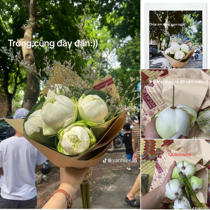 Tuy nhiên, mới đây một tài khoản TikTok có tên là @Vanhlee15 vừa chia sẻ câu chuyện với tựa đề "Kiếp nạn mua hoa ở đường Phan Đình Phùng" thu hút đông đảo chú ý từ cộng đồng mạng.
