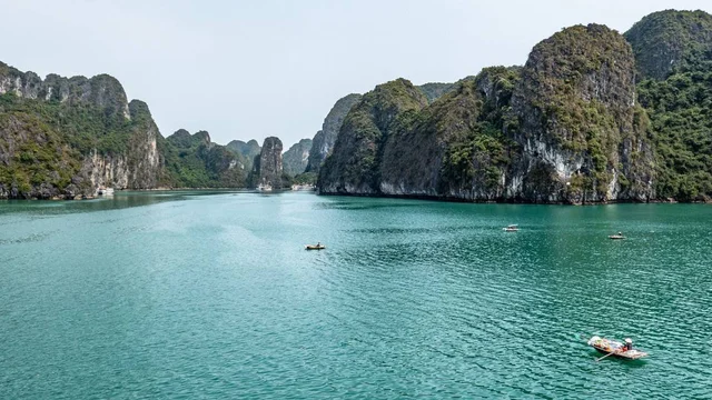 Các nhà nghiên cứu đã tiến hành các chuyến lặn ở Vịnh Hạ Long để khảo sát và thu thập các loài sinh vật biển.